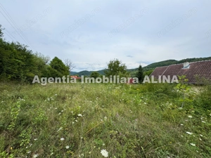 Teren intravilan 4.664 mp in Satul Boholt din Comuna Soimus, Jud. Hunedoara.  - imagine 10