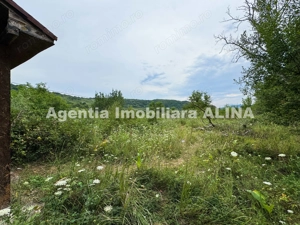 Teren intravilan 4.664 mp in Satul Boholt din Comuna Soimus, Jud. Hunedoara.  - imagine 9