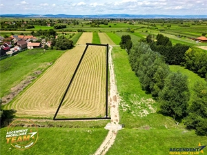 Teren intravilan,2.900mp,recomandat: investitional  rezidential constructii,Lunca Marcusului,Covasna - imagine 2