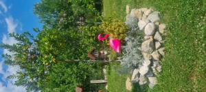 Casa de vacanta La Fane in Pietrari, Valcea - imagine 3