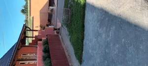 Vind catel ciobanesc belgian malinois