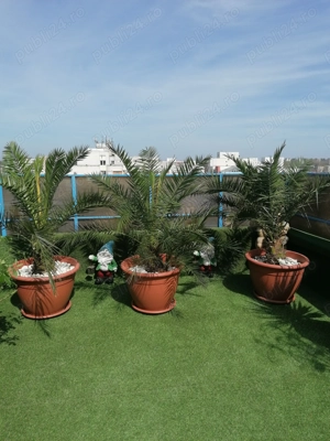 Vand apt tip Penthouse - imagine 9