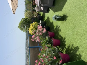 Vand apt tip Penthouse - imagine 8