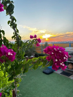 Vand apt tip Penthouse - imagine 10