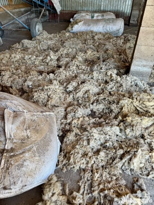 lana de oaie - imagine 2