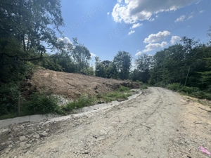 Teren intravilan Runcu - imagine 3