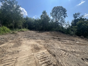 Teren intravilan Runcu - imagine 5