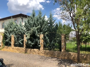 Bragadiru teren Crisul Repede