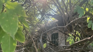 Vand teren cu casa demolabila Vlad Tepes Giurgiu