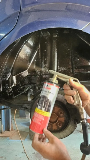 Servicii de tratare rugină și protecție caroserie=>DENSON Service Auto Preț la cerere