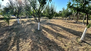 Casă de vânzare Jebel - imagine 8