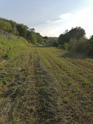 Casă și teren de vânzare  - imagine 4