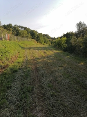 Casă și teren de vânzare  - imagine 5