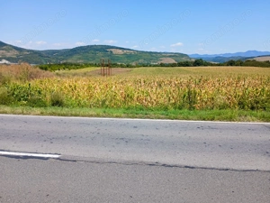 Teren extravilan 8.053 mp (cu iesire la Raul Mures) in Satul Mintia din Comuna Vetel, Jud. Hunedoara - imagine 2