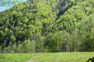 teren de vanzare - imagine 3 teren de vanzare - imagine 3