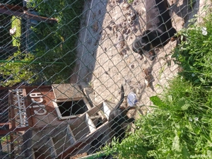 schimb tekkel  - imagine 3