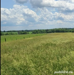 Ieftin: Casa-lux in Ungaria, la 35' de Arad.( cu fonduri anuale alocabile ) - imagine 9