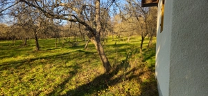 Vand cabana+teren(livada) - imagine 5