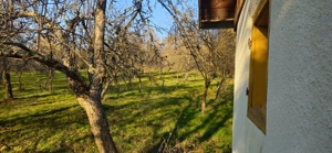 Vand cabana+teren(livada) - imagine 3