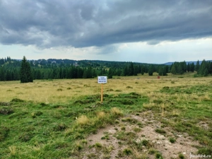 Parcela Intravilan 1000m2 langa Beliș  - imagine 8