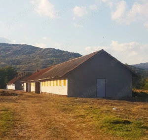 !!! Direct proprietar! De vânzare teren agricol cu fermă   proprietate rurală  Cislău, jud. Buzău  - imagine 5