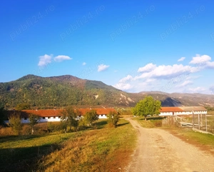  !!! Direct proprietar! De vânzare teren agricol cu fermă   proprietate rurală  Cislău, jud. Buzău  - imagine 2