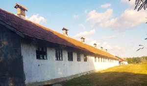  !!! Direct proprietar! De vânzare teren agricol cu fermă   proprietate rurală  Cislău, jud. Buzău  - imagine 6