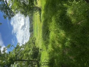 Casă bătrânească de vânzare Melinești județul Dolj  - imagine 4