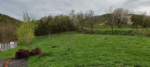 Vând teren extravilan in Sibiel  - imagine 4