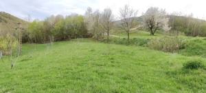 Vând teren extravilan in Sibiel  - imagine 3