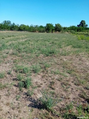 Teren de vanzare  - imagine 2