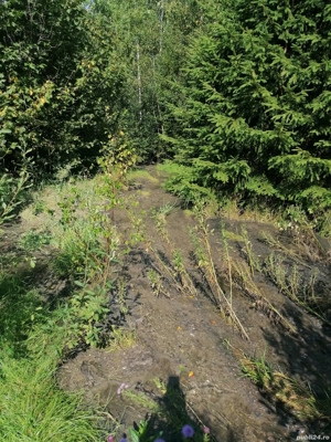 Schimb cu auto  - imagine 2 Schimb cu auto  - imagine 2