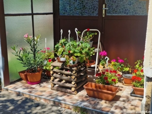 iEFTIN; la Pret REDUS.(orice: 'Stativ,taburet,masuta,suport flori in casa,terasa,sau gradina)"Rustic