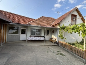 Casa de vanazare - Pianu de Sus - imagine 2