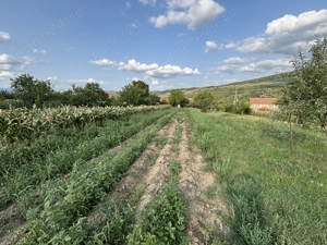 Casa de vanazare - Pianu de Sus - imagine 5