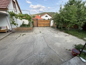 Casa de vanazare - Pianu de Sus - imagine 4