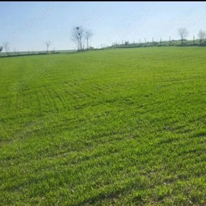 Vând teren intravilan