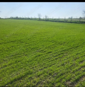 Vând teren intravilan - imagine 3