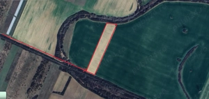 Teren extravilan 15500 mp  Mosnita Noua - 16 Euro mp (negociabil)