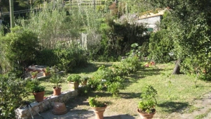 Vila de vanzare in Italia Insula Elba schimb terenuri in Romania - imagine 7