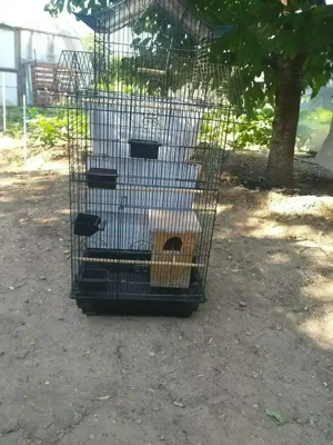 Voliera pentru iubitorii de pasari exotice