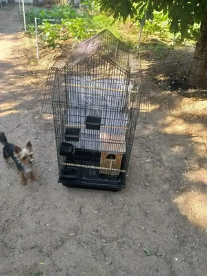 Voliera pentru iubitorii de pasari exotice - imagine 3