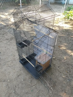 Voliera pentru iubitorii de pasari exotice - imagine 5