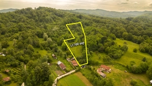 Teren 11700 mp în Valea Lungă, o oază de liniște, aer curat și verdeață