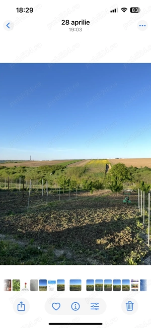 Teren intravilan Curtesti - imagine 3