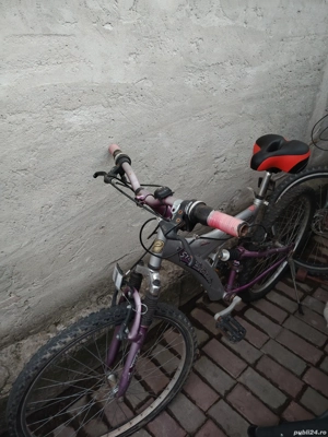 bicicletă adulți  - imagine 2
