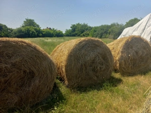 Vand baloti fan,de cea mai buna calitate, feriti de ploi