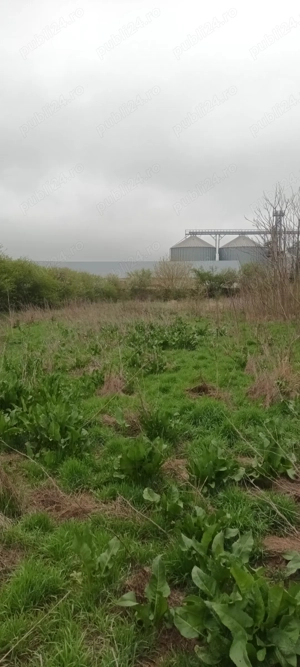 Teren intravilan arabil 3846 mp, Topraisar.Zona buna,sub pretul pietei. Pt locuinte sau orice.  - imagine 10