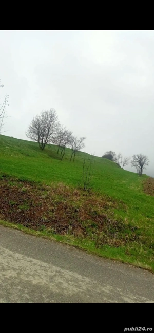Vând teren intravilan în comuna Șoimuș , 3380 mp  - imagine 7