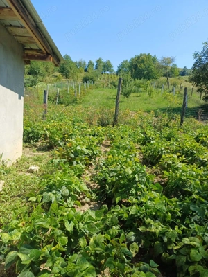 Vând casa cu teren - imagine 6